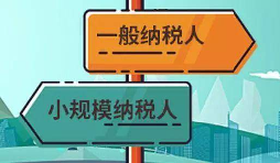 注册公司是选择一般纳税人还是小规模纳税人? 注册公司是选择一般纳税人还是小规模纳税人?