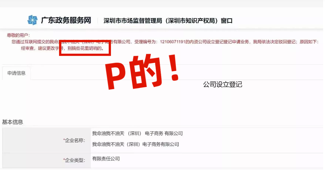 网友注册公司“我命油我不油天”公司被驳回！