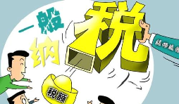 一般纳税人资格的受理和审核 一般纳税人资格的受理和审核