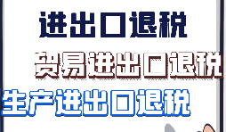 什么是进出口代理? 什么是进出口代理?