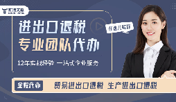 账税一体化服务对财务公司的团队规模有哪些要求？